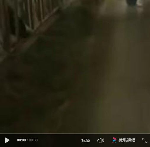 平安畜牧機(jī)械:青貯撒料車工作現(xiàn)場