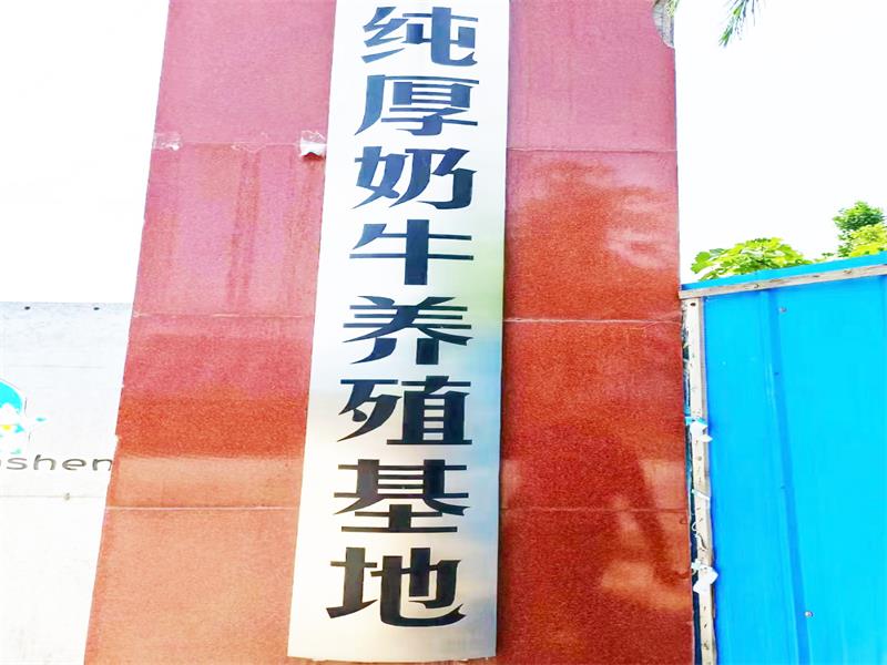 純厚奶牛養(yǎng)殖基地